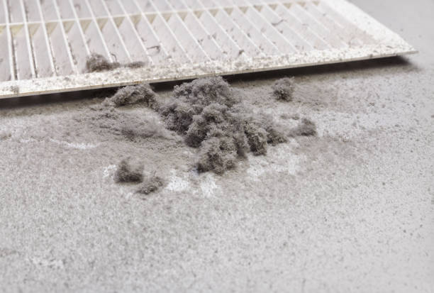 Best HVAC System Cleaning  in El Monte, CA